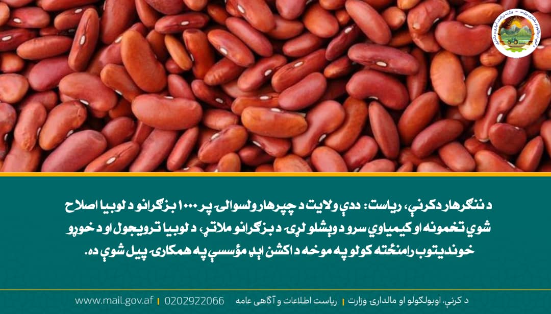 د ورځ مهمی خبری
