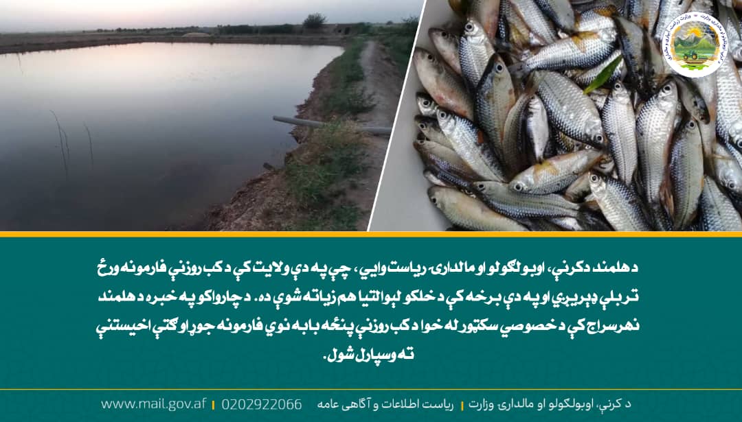 د ورځ مهمی خبری