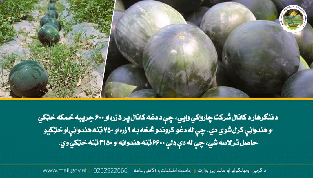 د ورځ مهمی خبری