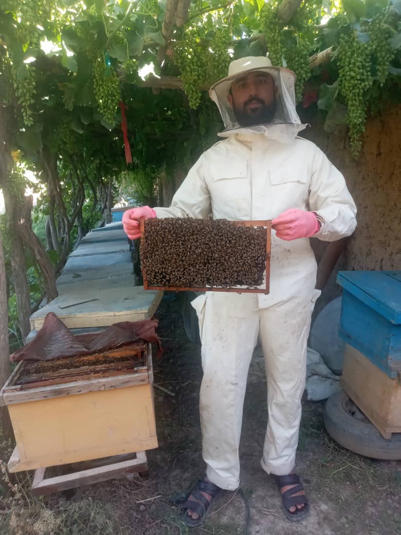 د هلمند نادعلي کې د شاتو مچیو له فارمونو لیدنه وشوه