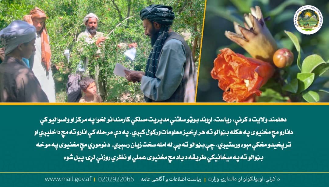 د ورځ مهمی خبری