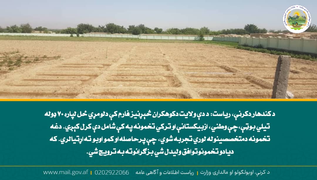 د ورځ مهمی خبری