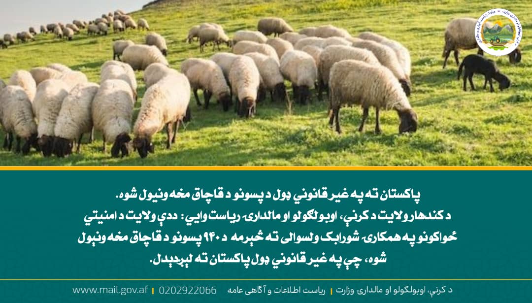 د ورځ مهمی خبری