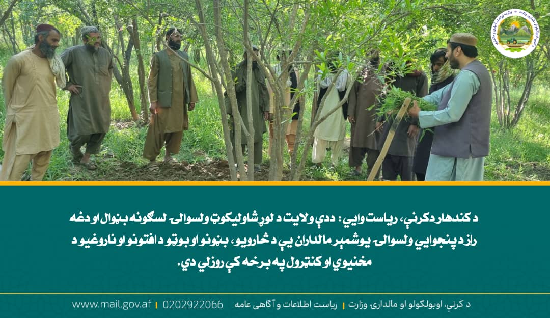 د ورځ مهمی خبری