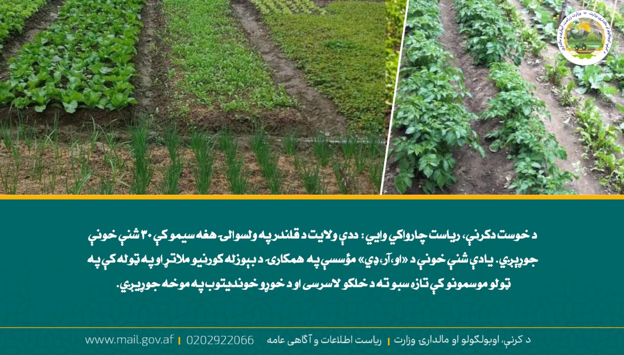 د ورځ مهمی خبری