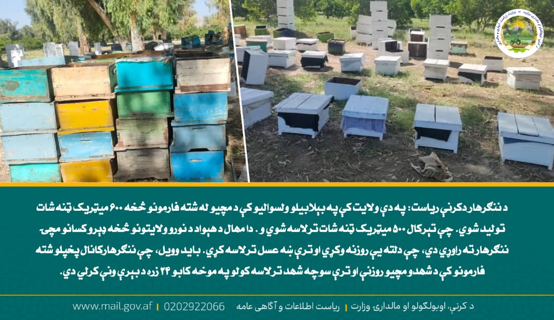 د ورځ مهمی خبری