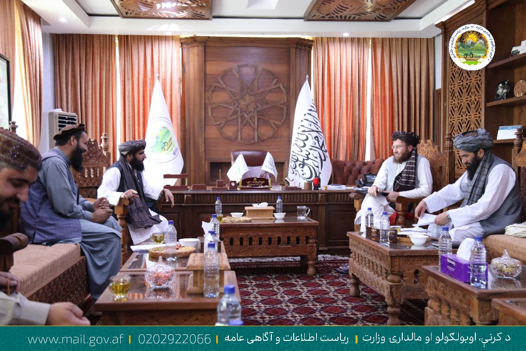 جلوگیری از استفاده غیرقانونی از املاک امارتی 