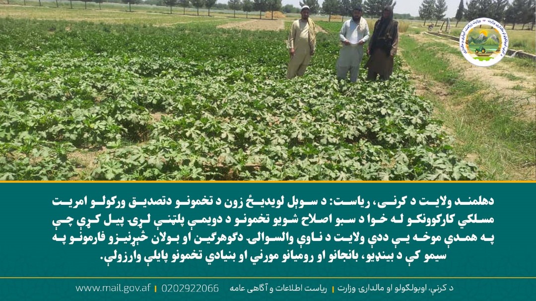 د ورځ مهمی خبری