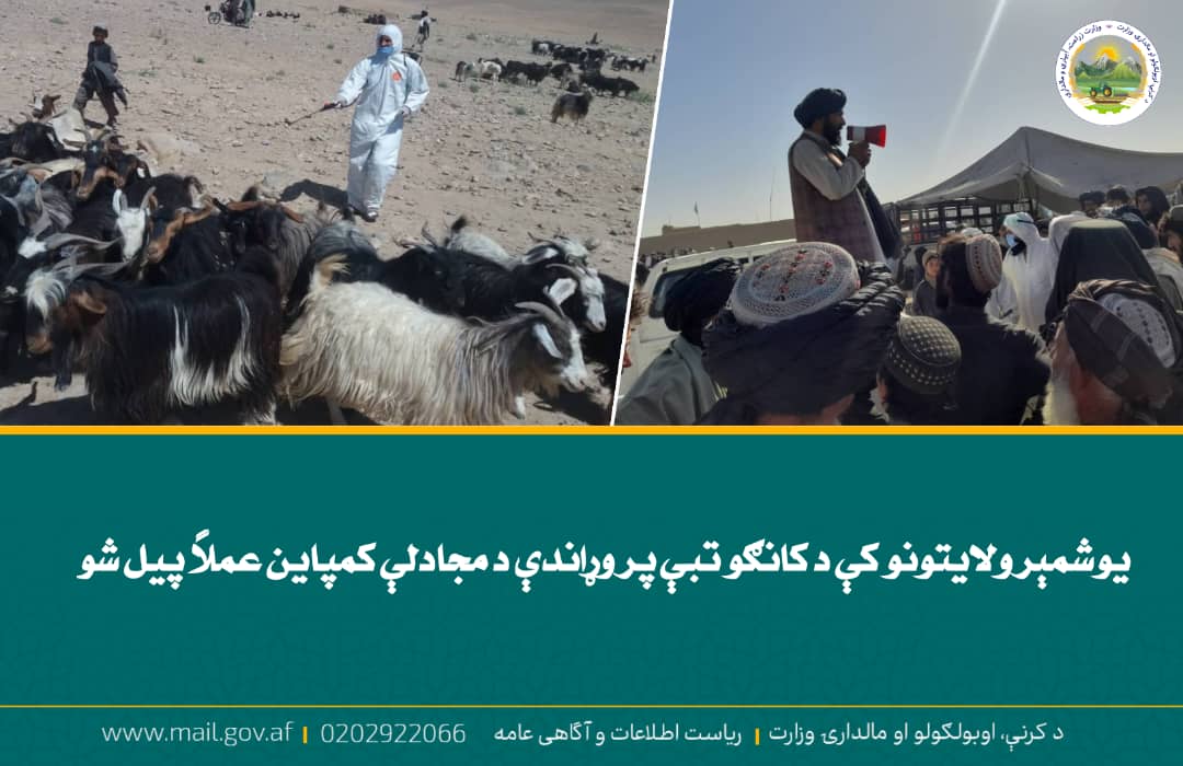 د ورځ مهمی خبری