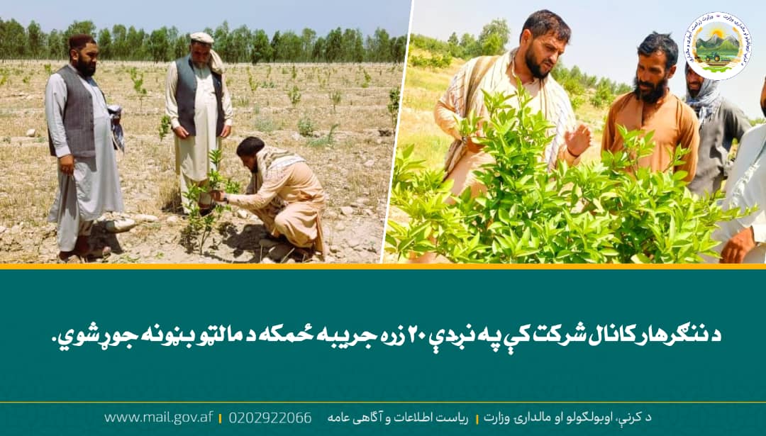 د ورځ مهمی خبری