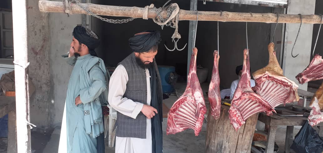 اروزګان کې یوشمېر قصابۍ وڅارل شوی