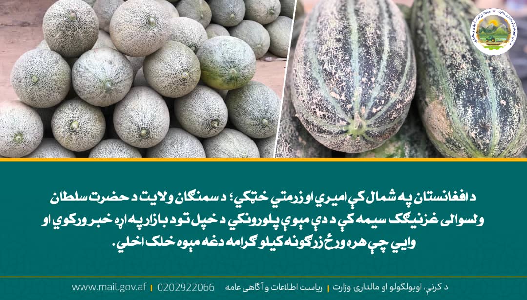 د ورځ مهمی خبری
