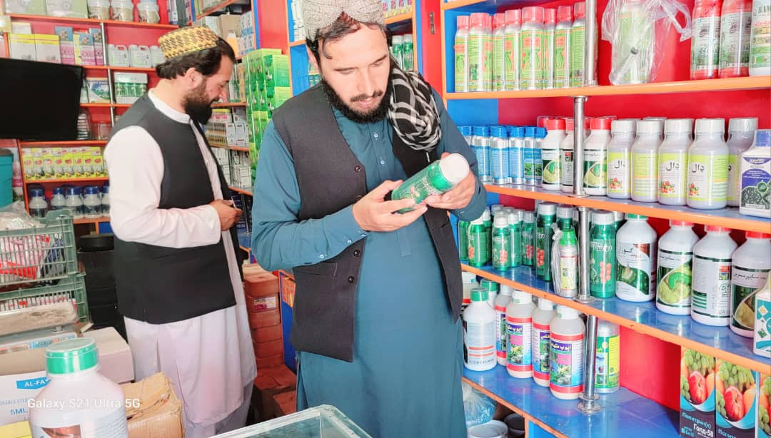 د پکتیکا ولایت د کرنې، اوبولګولو او مالدارۍ ریاست اړوند د کرنیزو آمریت مسلکي کارکوونکو لخوا ددې ولایت مرکز یو شمېر نباتي درملتونونه وڅارل شول.