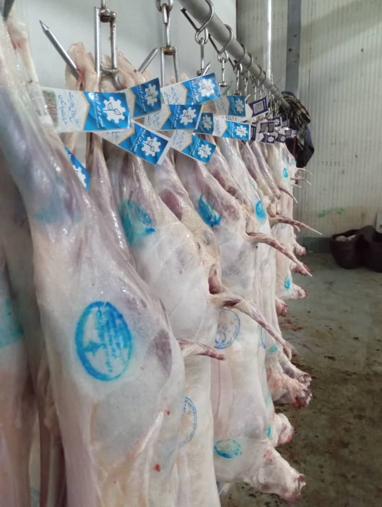 نظارت و کنترول کارمندان زراعت هرات از کشتارگاهای دولتی آن ولایت