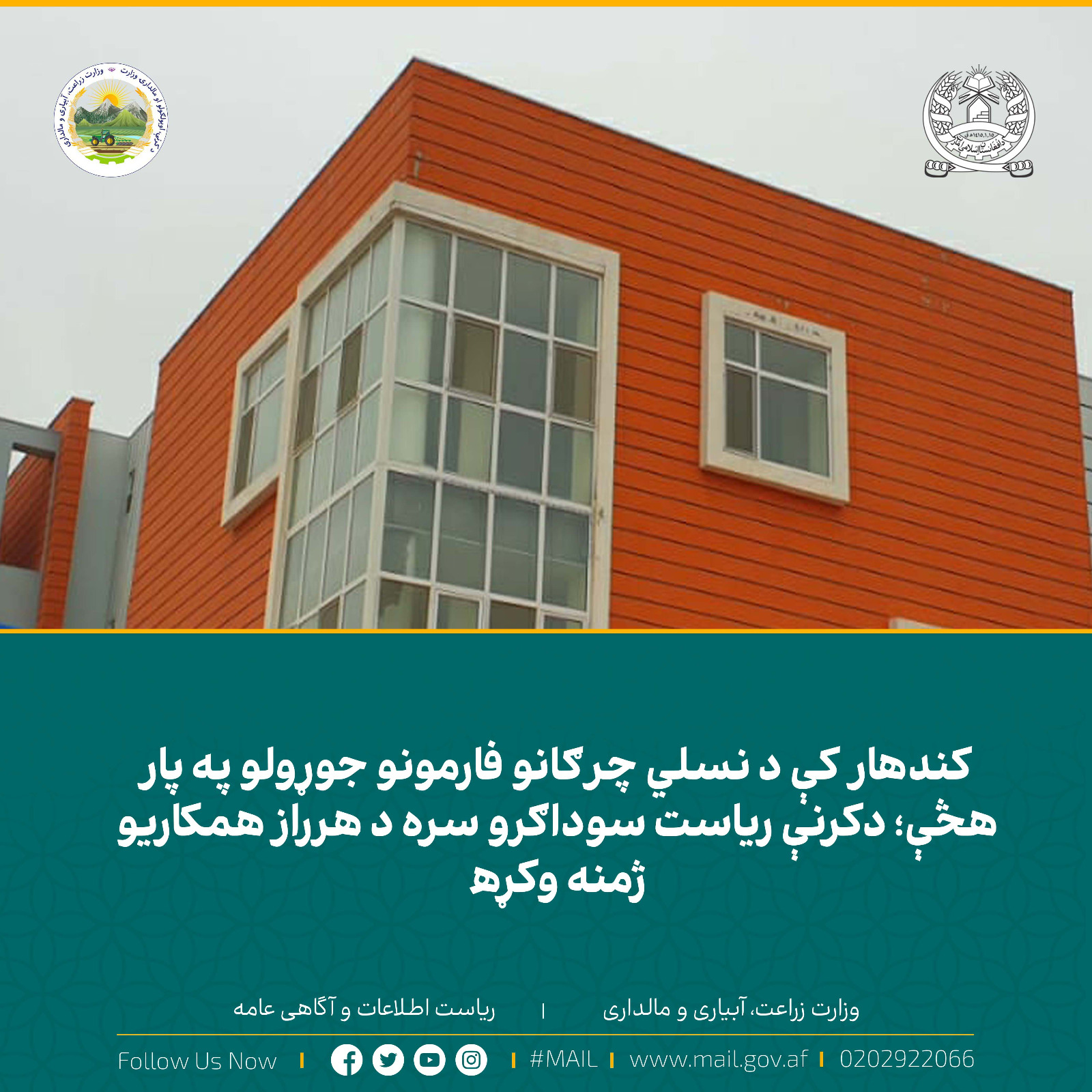کندهار کې د نسلي چرګانو فارمونو جوړولو په پار هڅې؛ دکرنې ریاست سوداګرو سره د هرراز همکاریو ژمنه وکړه