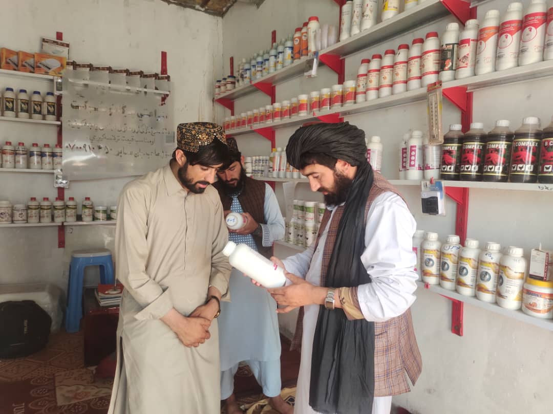 هلمند کې د چرګانو درملو پلورنځیو څخه څارنه وشوه