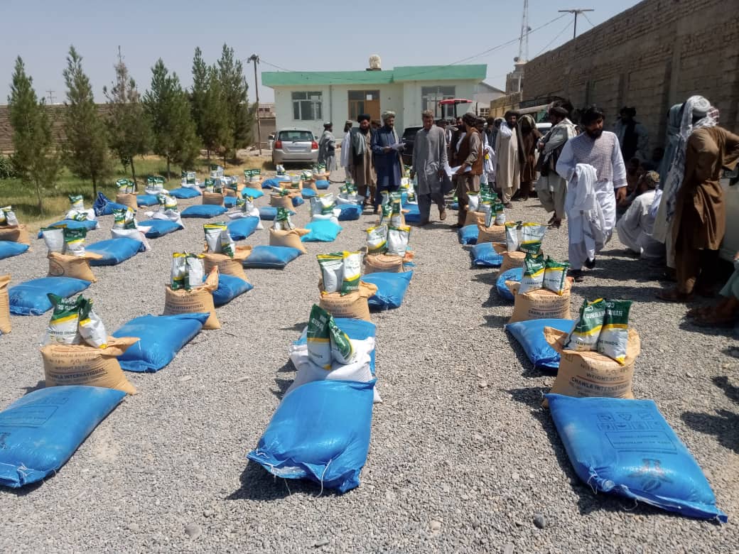 هلمند کې ٤٨ بزګرو ته د جوارو ننداریزې کروندې جوړېږي