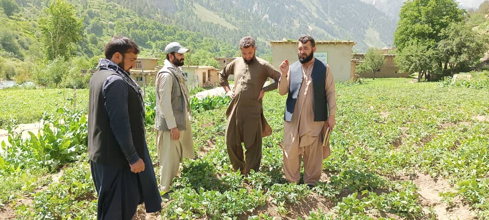 نورستان کې یوشمېر بزګران وزول شول