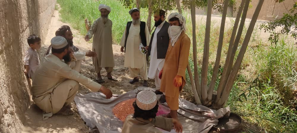 د هلمند مارجې ولسوالی کې یوشمېر بزګران وروزل شول