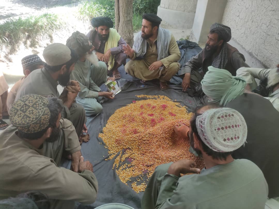 د هلمند مرکز لښکرګاه کې یوشمېر بزګران وروزل شول
