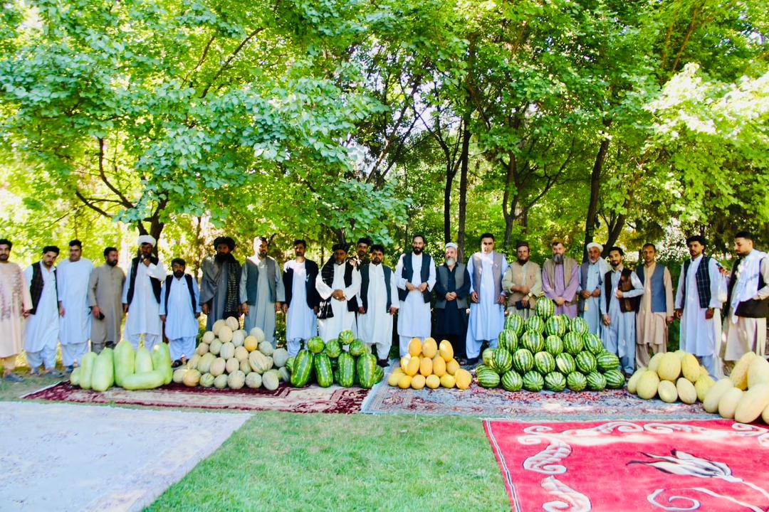 جشن شکرانه تربوز و خربزه در ریاست زراعت ولایت هرات برگزار شد