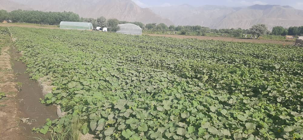 نظارت از پروژه باغچه اطفال در سه ولسوالی ولایت بدخشان