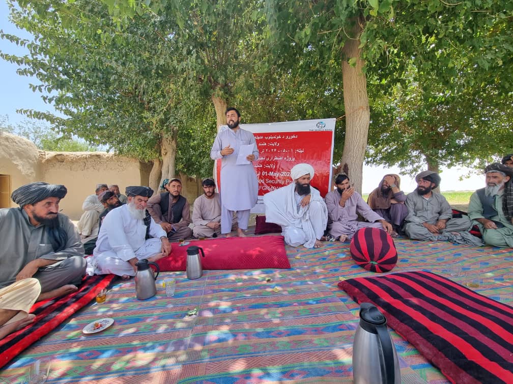 هلمند کې پر زرګونو بزګرانو د غنمو اصلاح شوي تخمونو او کیمیاوۍ سرې وېش لړۍ پيل شوه