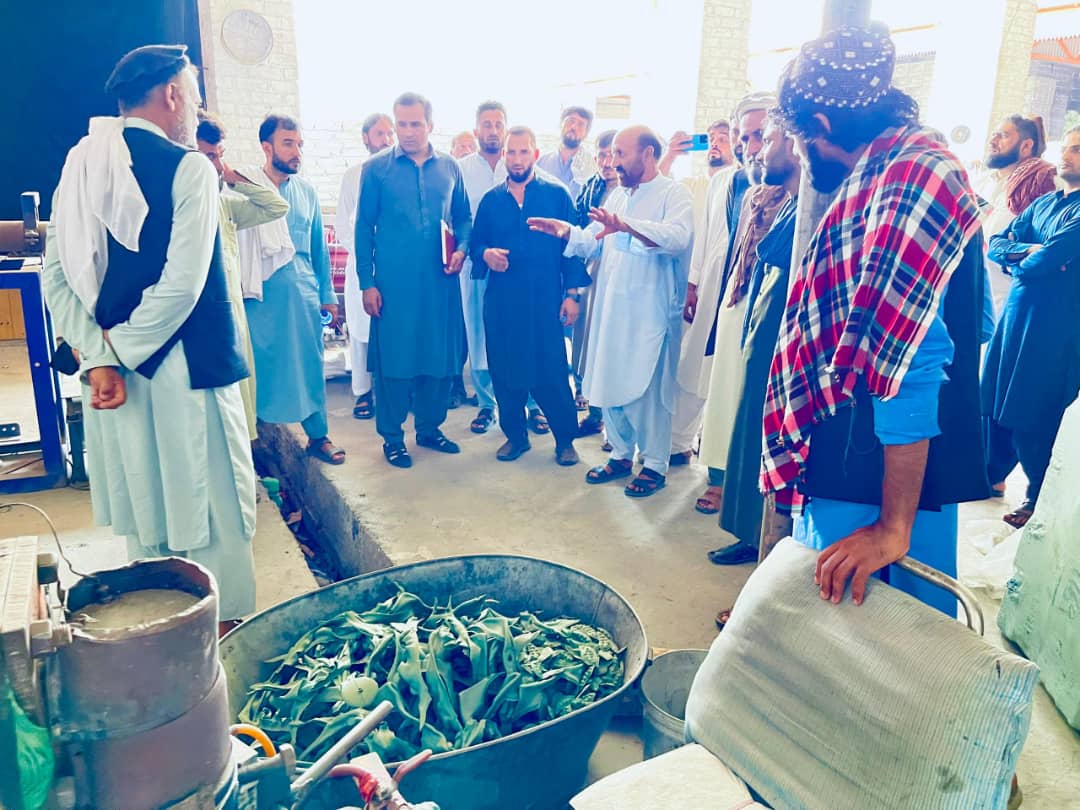 ننګرهار کې بڼوالوته په سړو خونو کې دمحصولاتو ساتنې په برخه کې روزنه ورکړل شوه