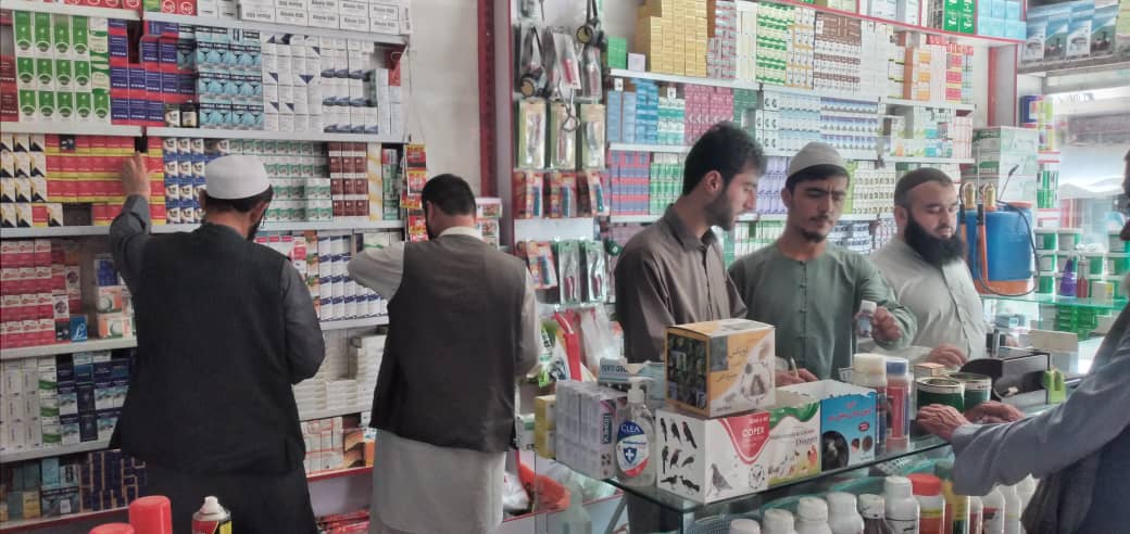 از جریان فعالیت کلنیکها و ادویه فروشیهای حیوانی شهر ایبک نظارت شد