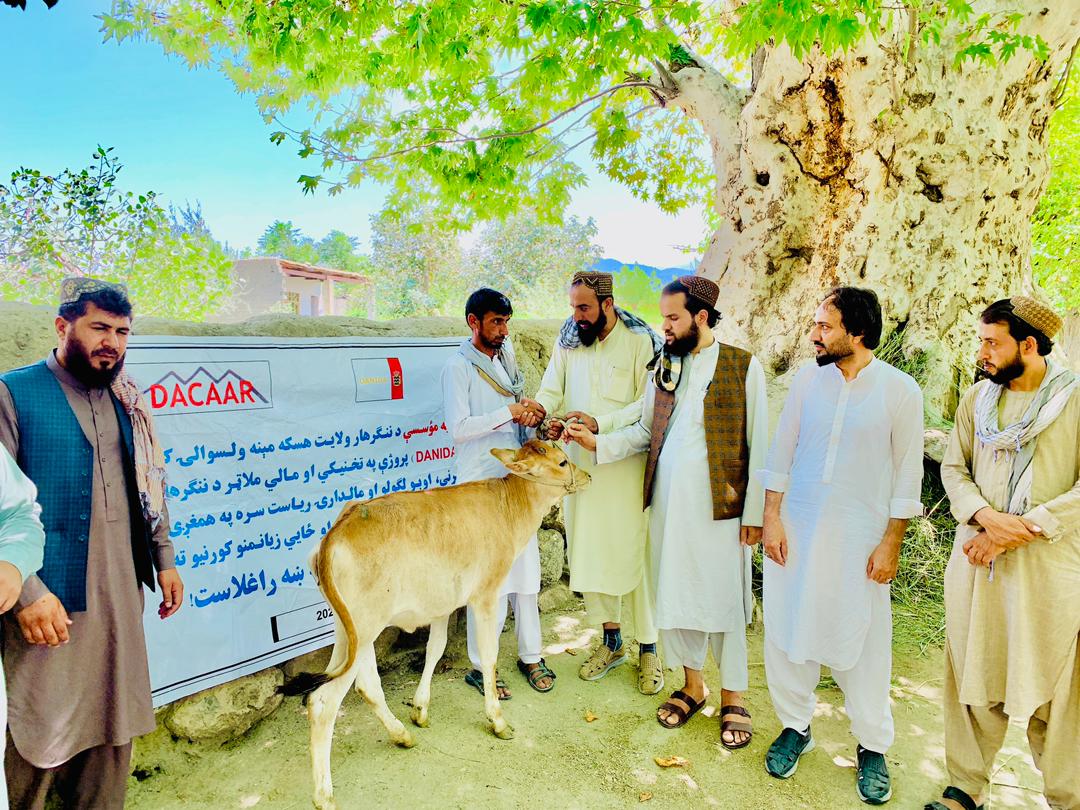 د ننګرهار د کرنې، اوبولګولو او مالدارۍ ریاست سره په همغږۍ د ډاکار خیریه مؤسسې په تخنیکي همکارۍ او ډانېډا په ۶.۵ میلیونه افغانیو مالي لګښت د ننګرهار په چپرهار، پچیراګام او هسکې مېني ولسوالیو کې دنارینوو اومېرمنو جوړ شویو صنفونو ته خوسۍ ووېشل شوې.