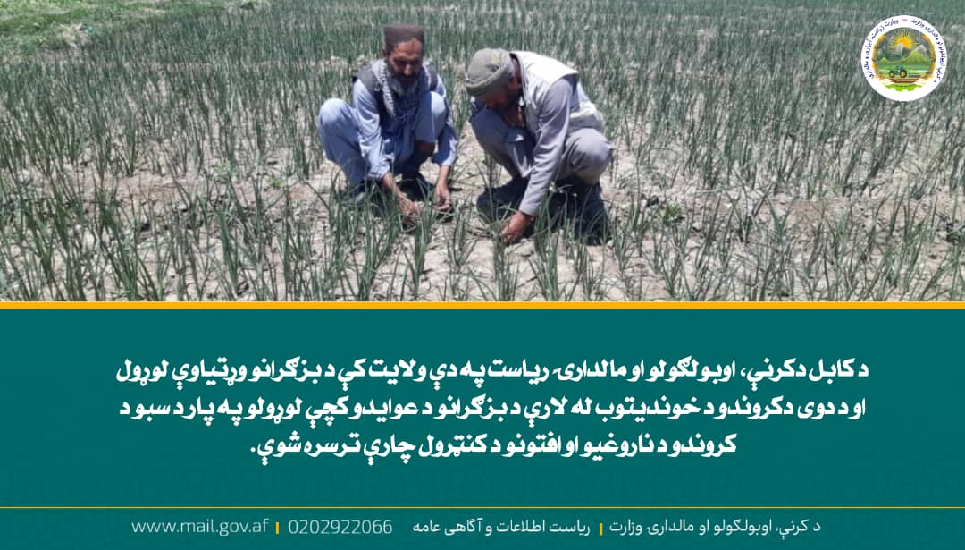 د ورځ مهمی خبری