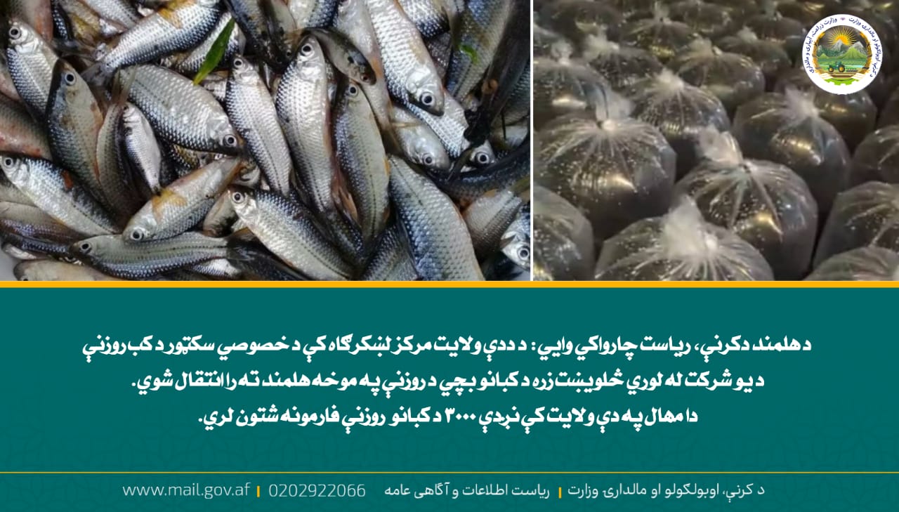 د ورځ مهمی خبری