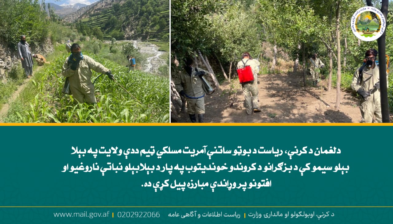 د ورځ مهمی خبری