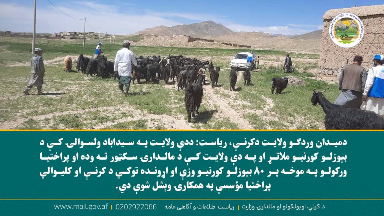 د ورځ مهمی خبری