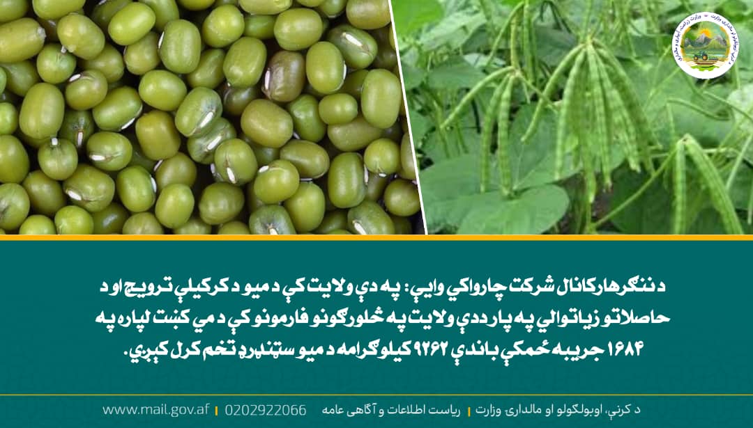 د ورځ مهمی خبری