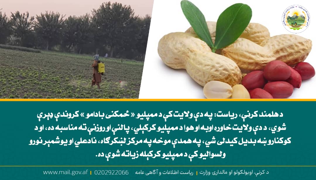 د ورځ مهمی خبری