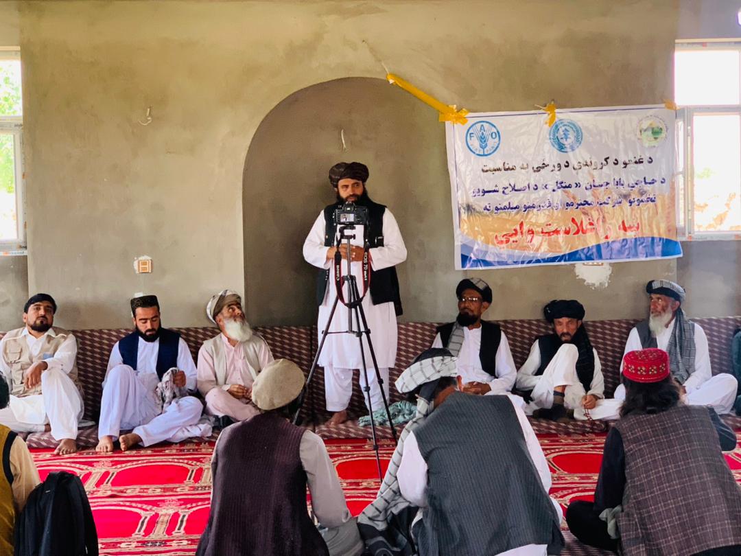 پکتیا کې د کروندې ورځ ولمانځل شوه