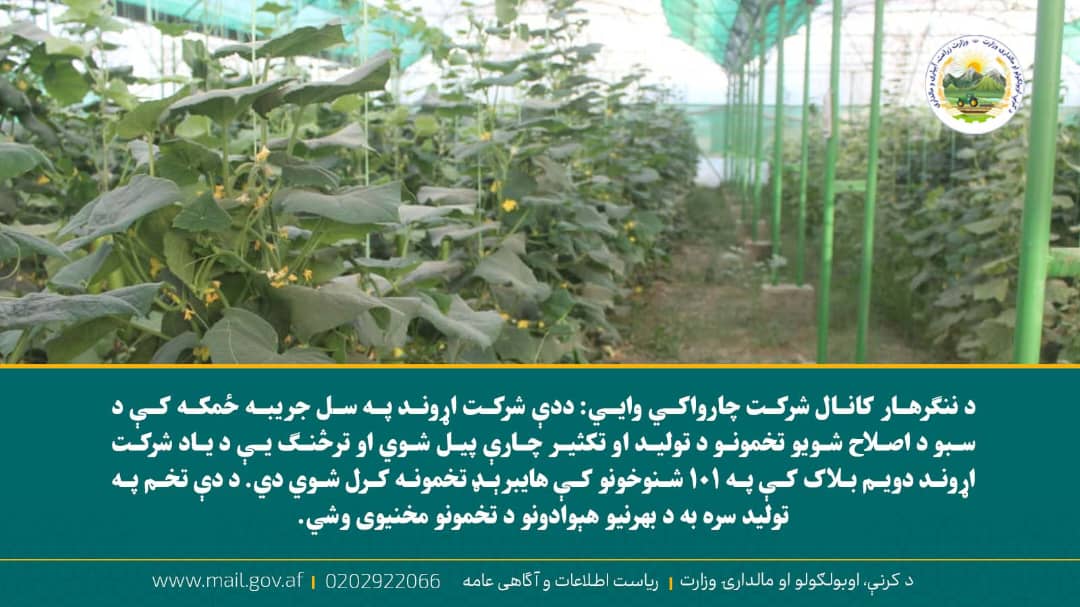 د ورځ مهمی خبری