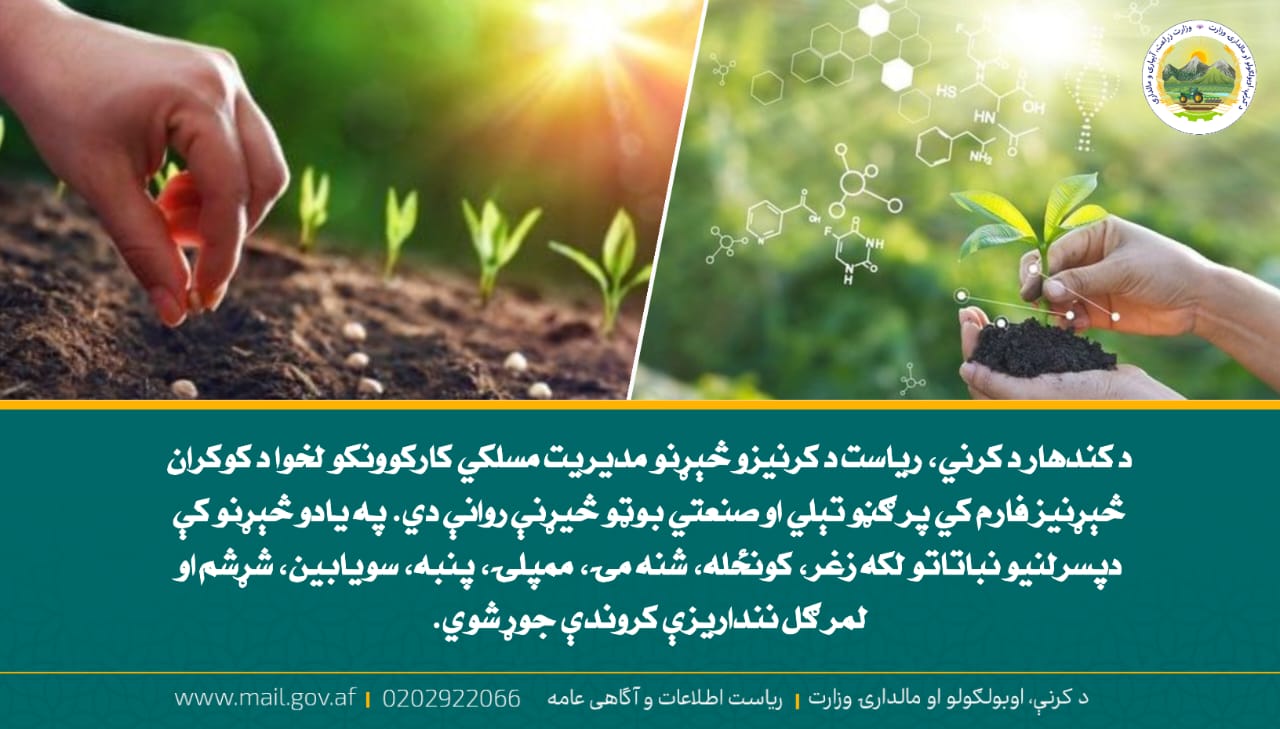 د ورځ مهمی خبری