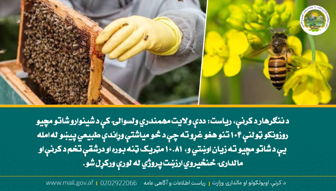 د ورځ مهمی خبری
