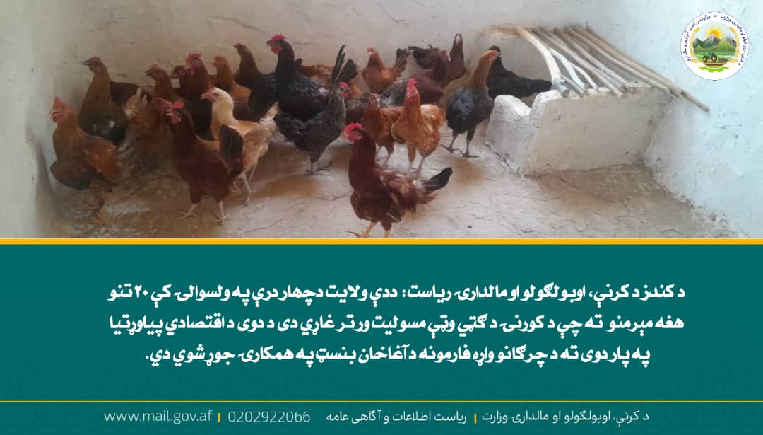 د ورځ مهمی خبری
