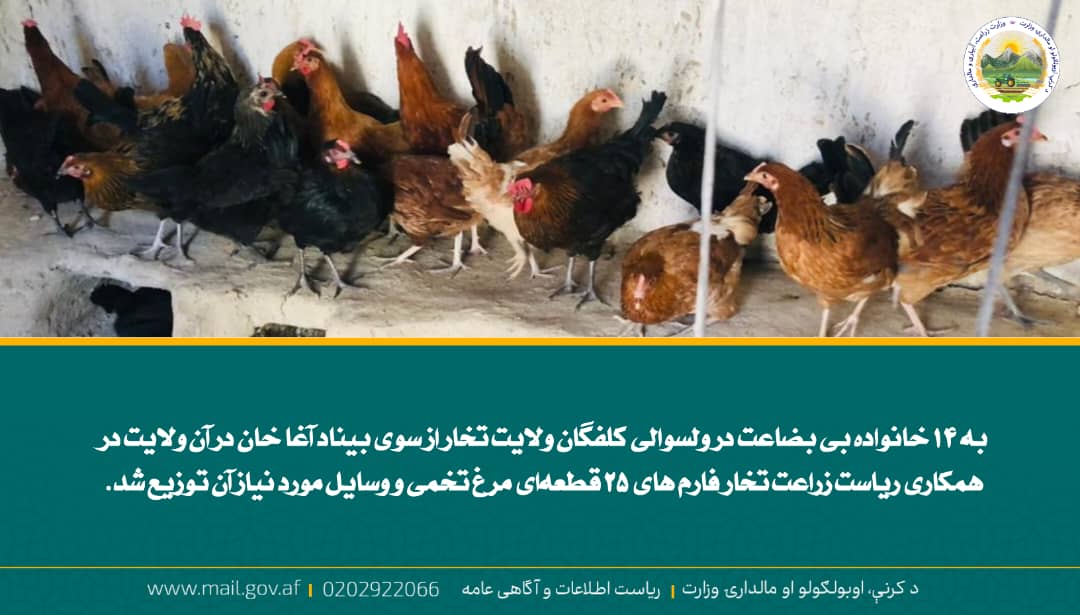 خبرهای مهم روز