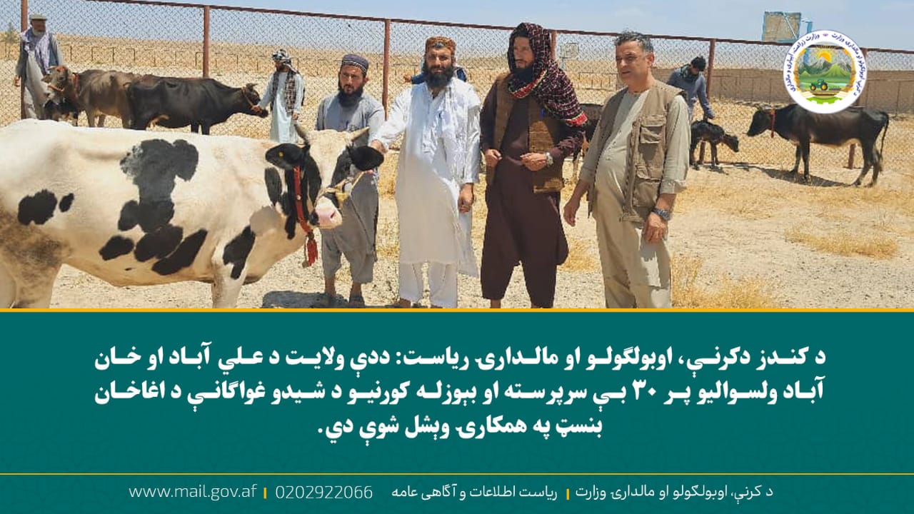 د ورځ مهمی خبری