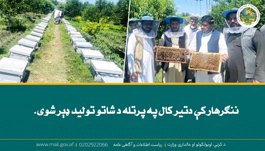 د ورځ مهمی خبری