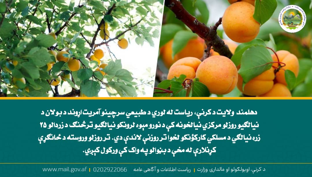 د ورځ مهمی خبری