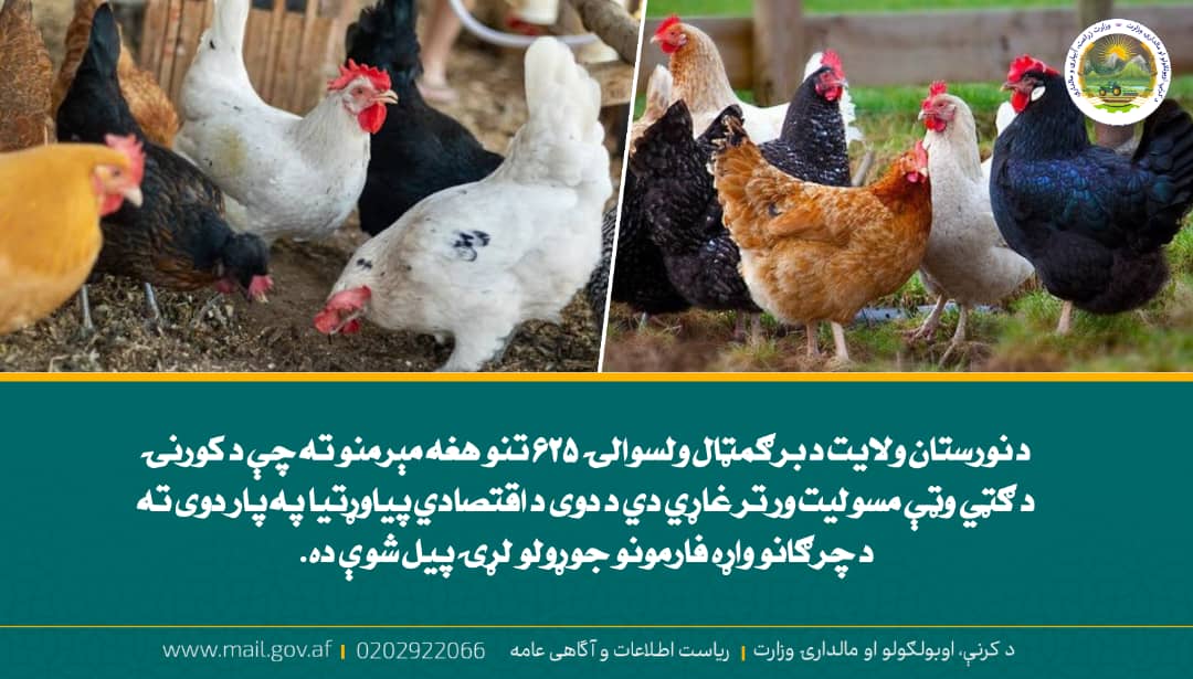 د ورځ مهمی خبری