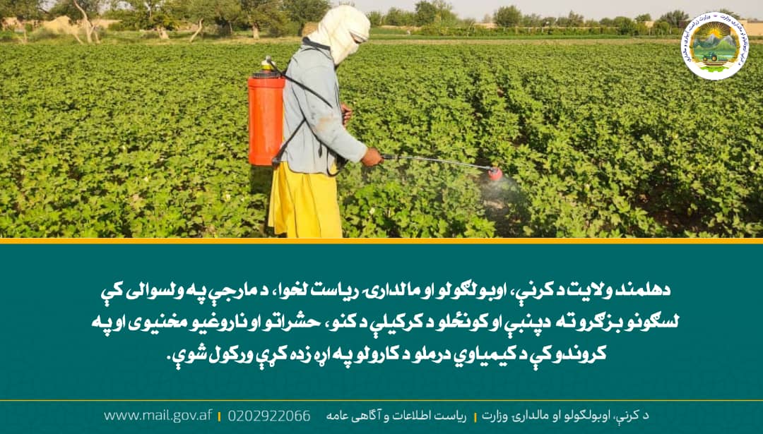 د ورځ مهمی خبری