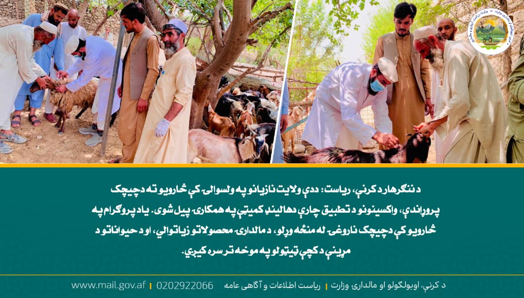 د ورځ مهمی خبری