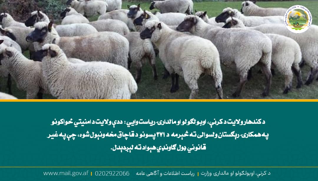 د ورځ مهمی خبری