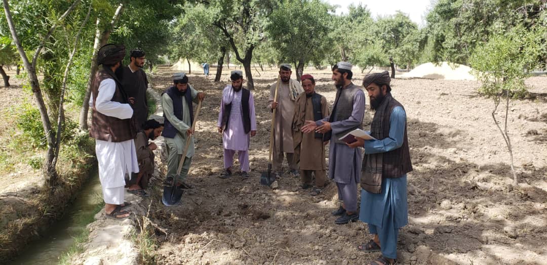 د اروزګان مرکز ترینکوټ کې یوشمېر بزګران وروزل شول